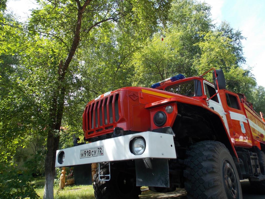 ИА "Тюменская линия"