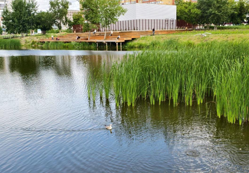 ИА "Тюменская линия"