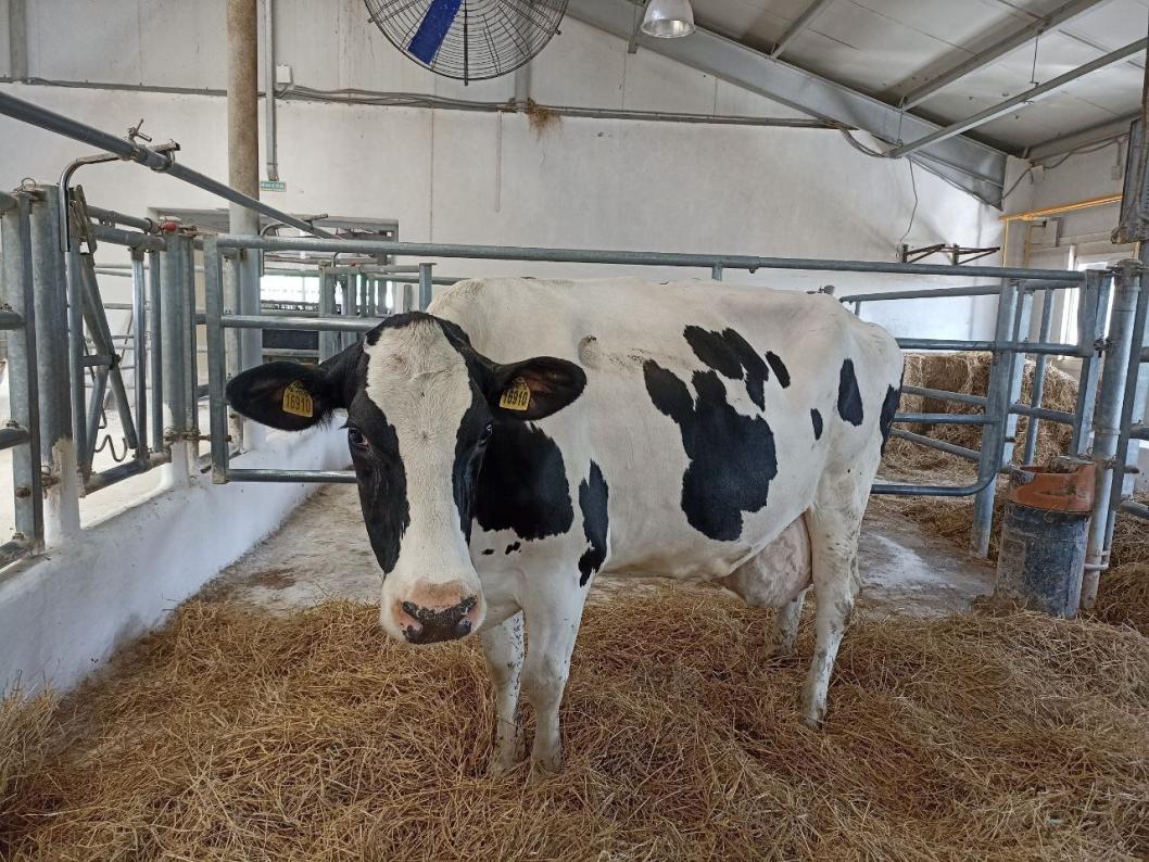 Департамент АПК Тюменской области