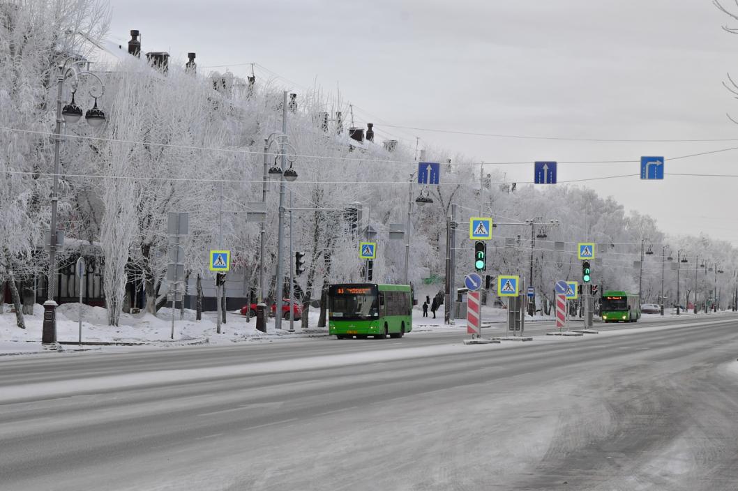 Сергей Елесин, ИА "Тюменская линия"