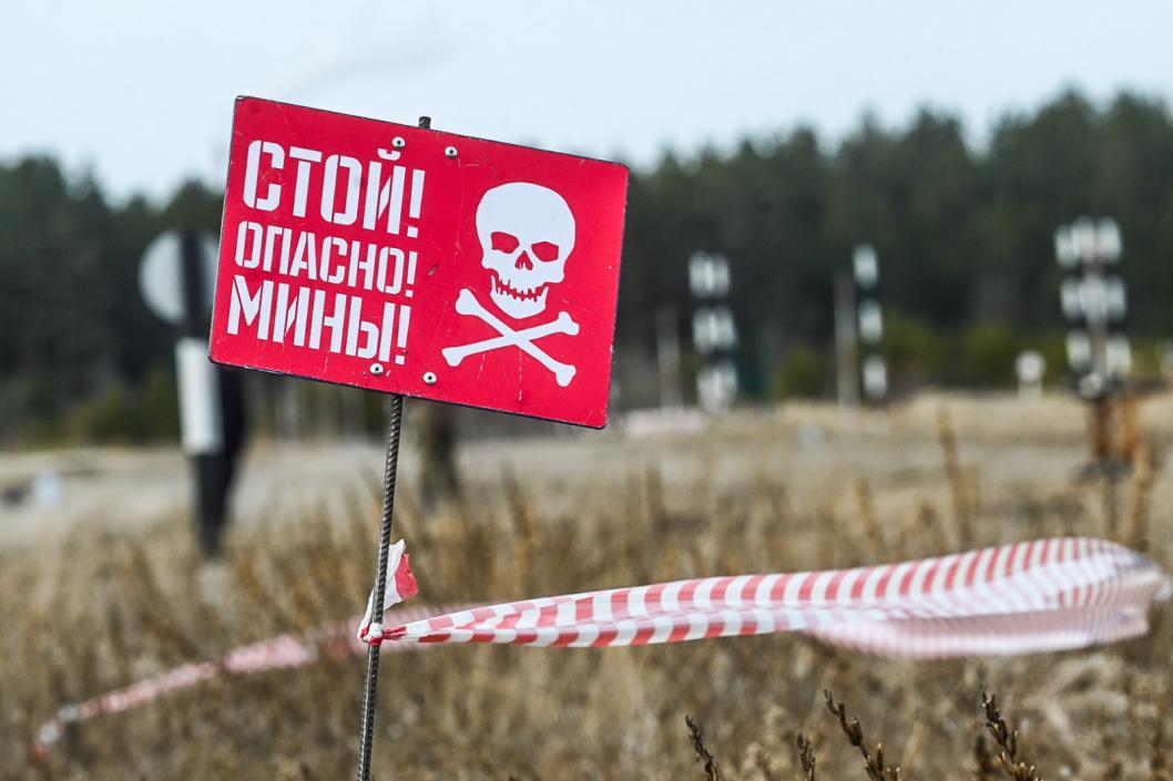 Сергей Елесин, ИА "Тюменская линия"