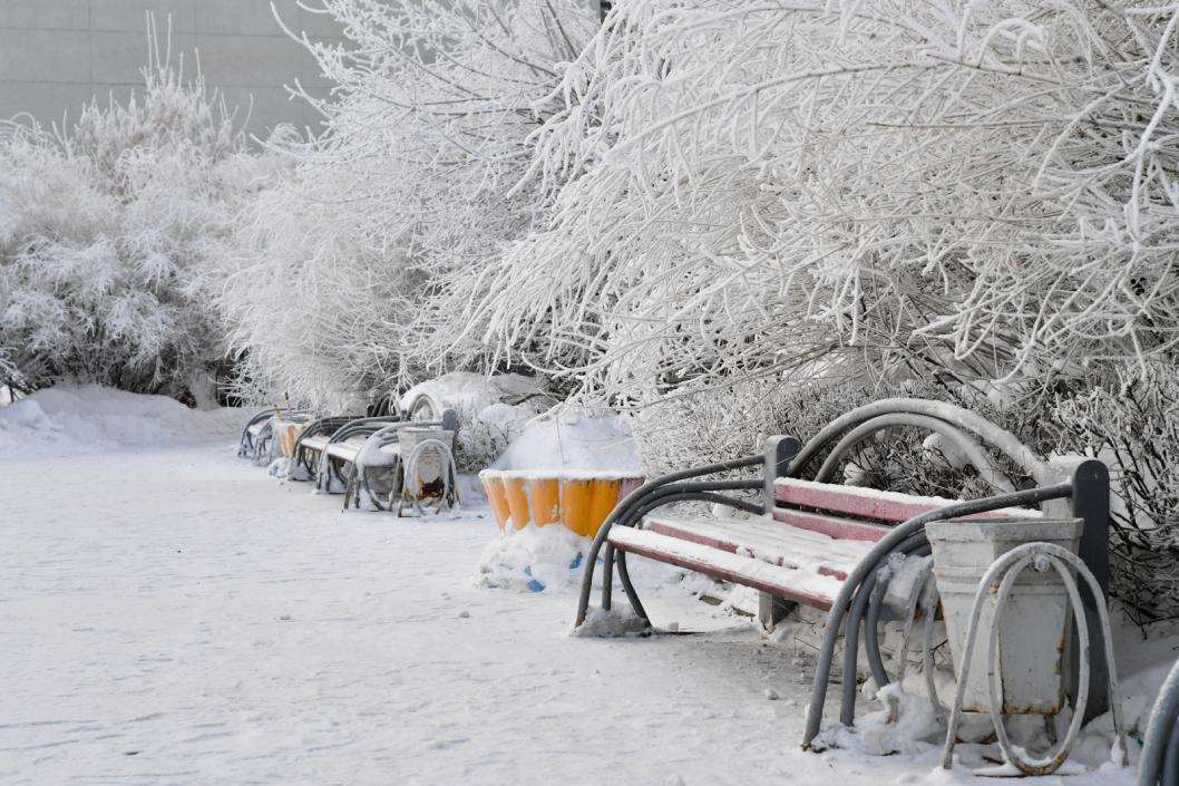 Сергей Елесин, ИА "Тюменская линия"