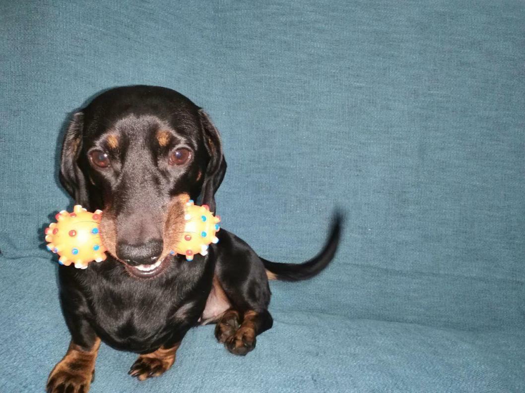 Тюменская линия