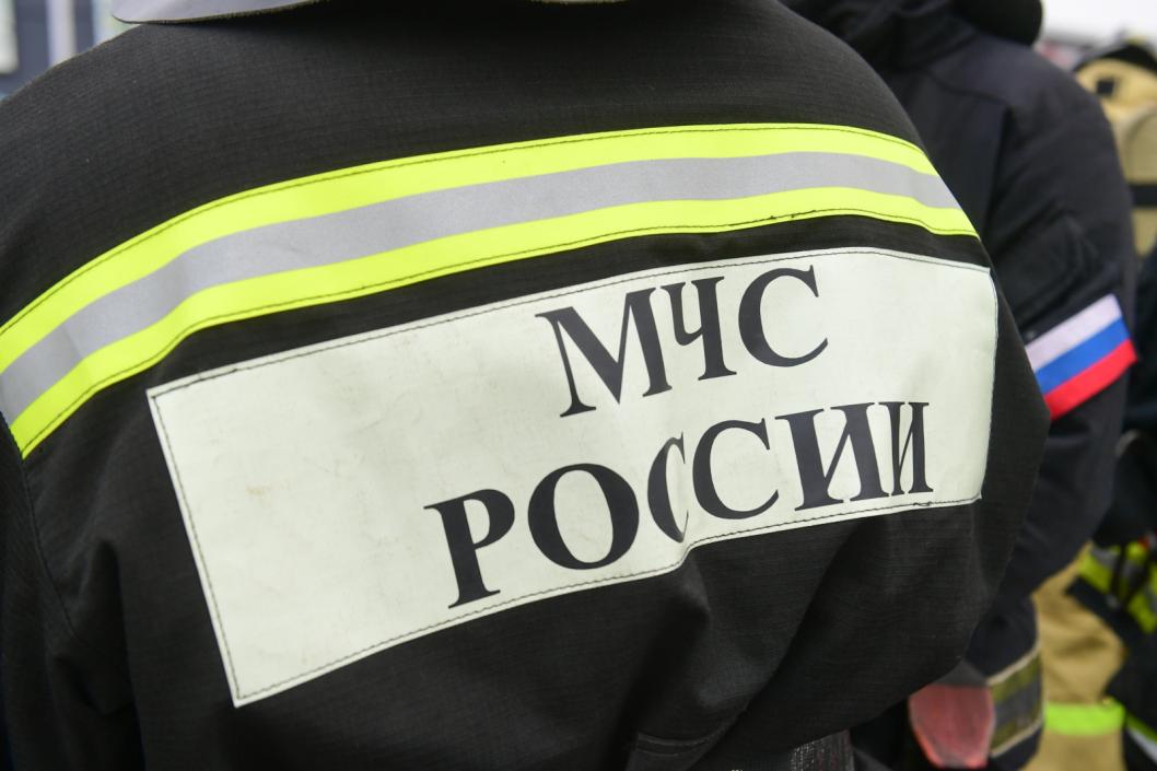 Сергей Елесин, ИА "Тюменская линия"