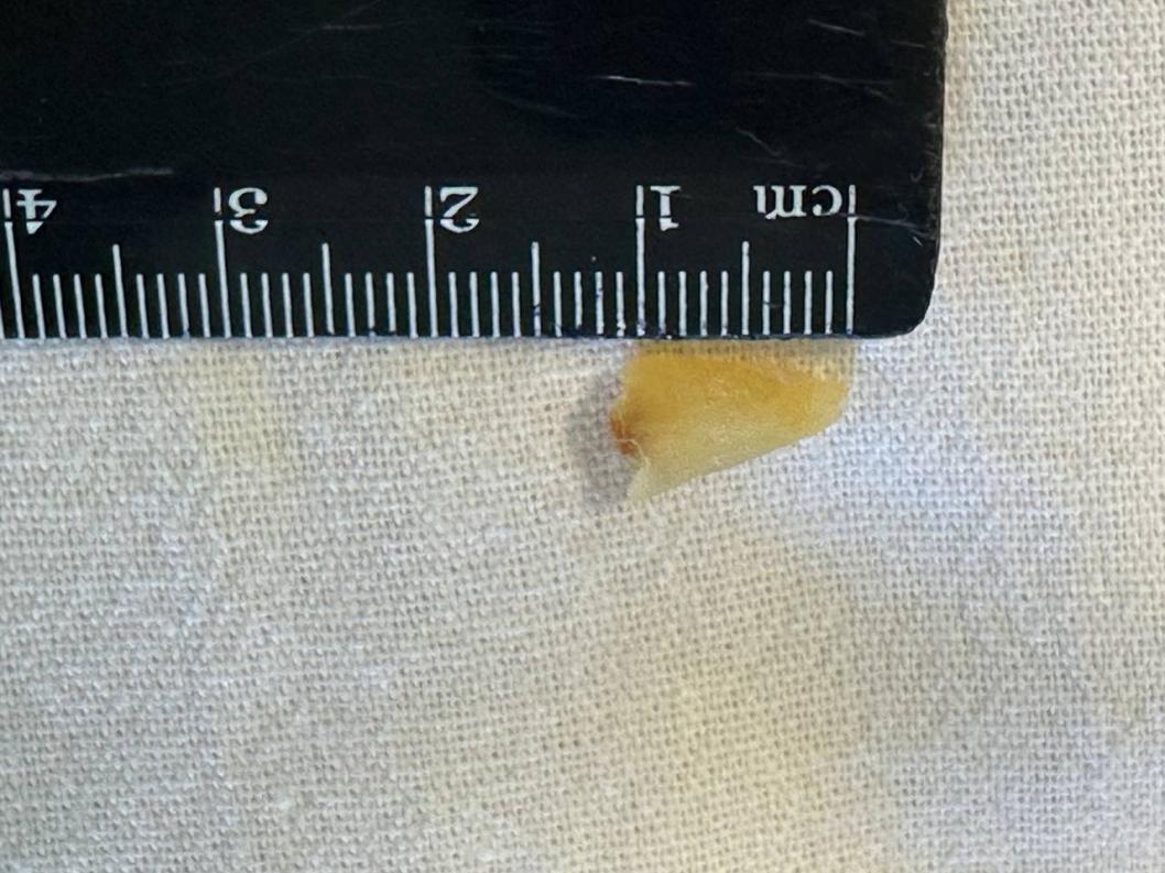  департамент здравоохранения Тюменской области