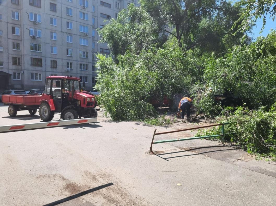 администрация Тюмени