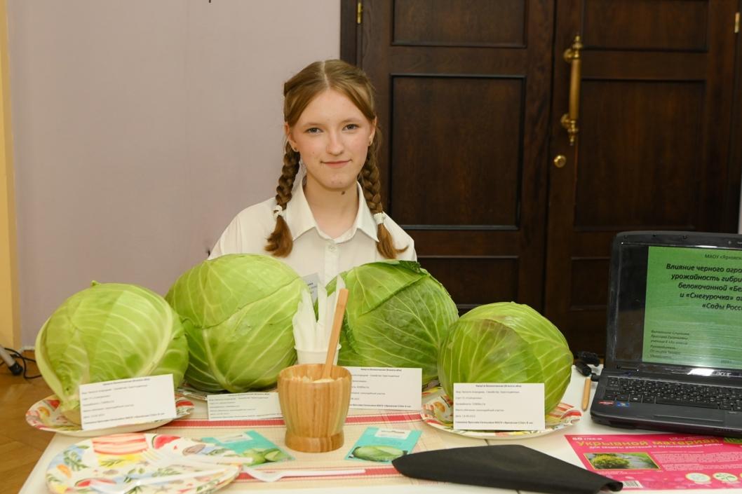 дворец творчества и спорта "Пионер"