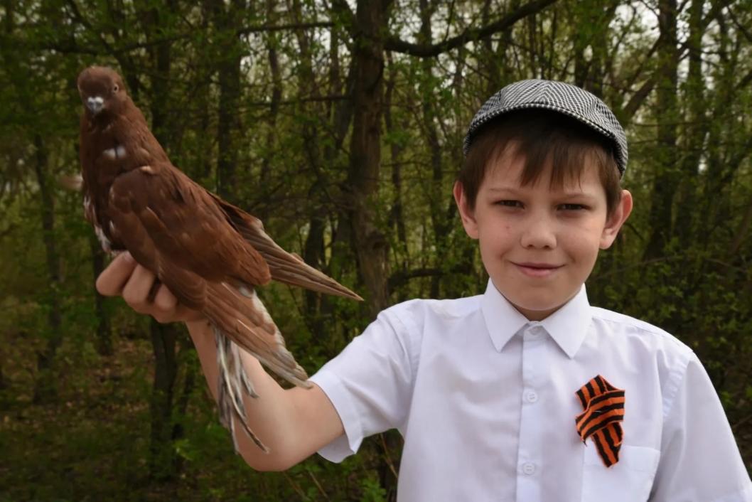 Проект "Любовь и голуби", Ишимский РДК в ВК