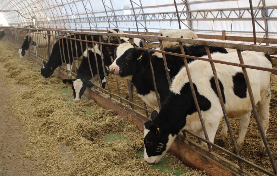 администрация Казанского округа