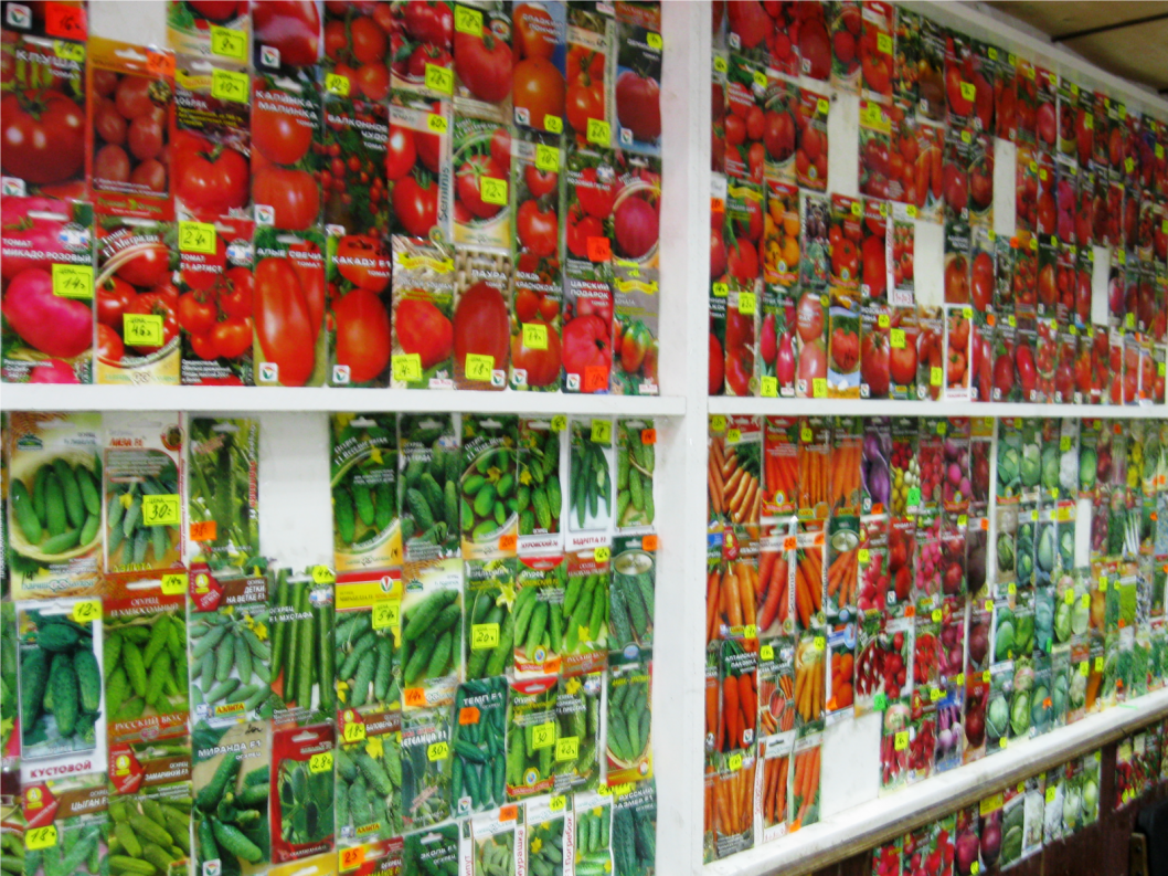 управление Россельхознадзора по Тюменской области, ЯНАО и ХМАО - Югре