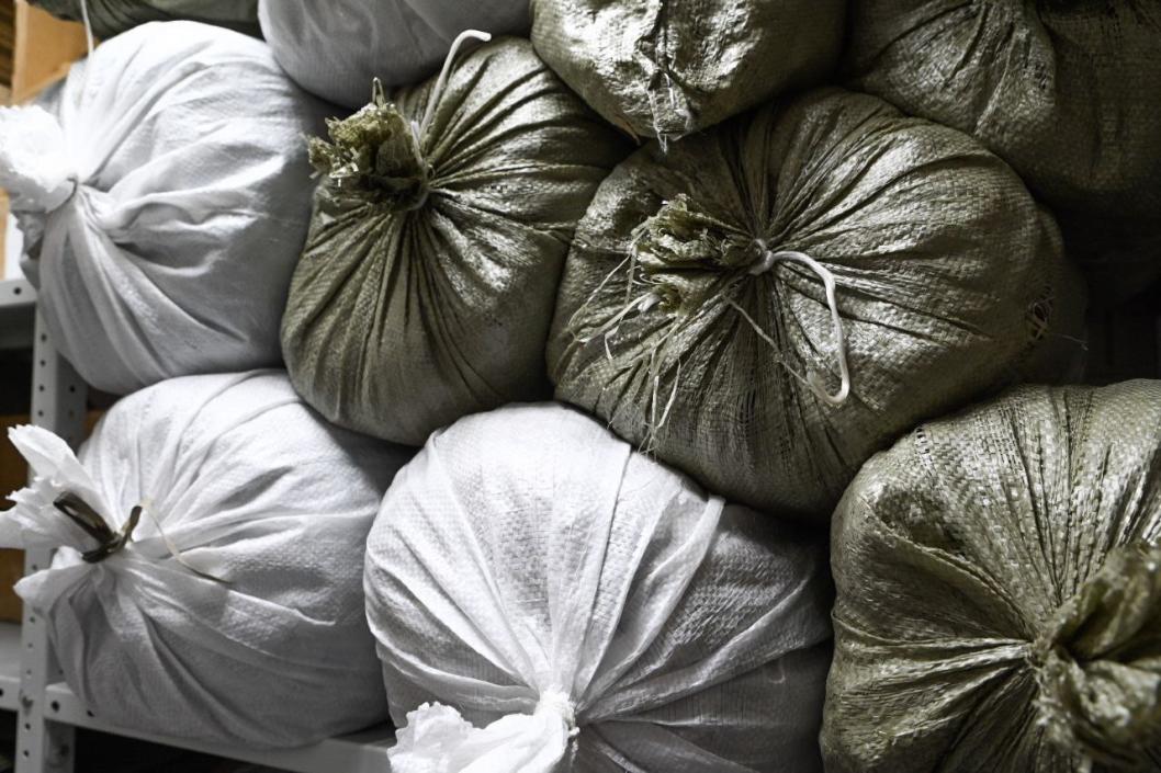 Сергей Елесин, ИА "Тюменская линия"