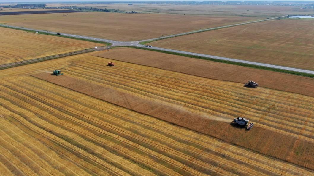 Виктор Сергеев, ИА "Тюменская линия"