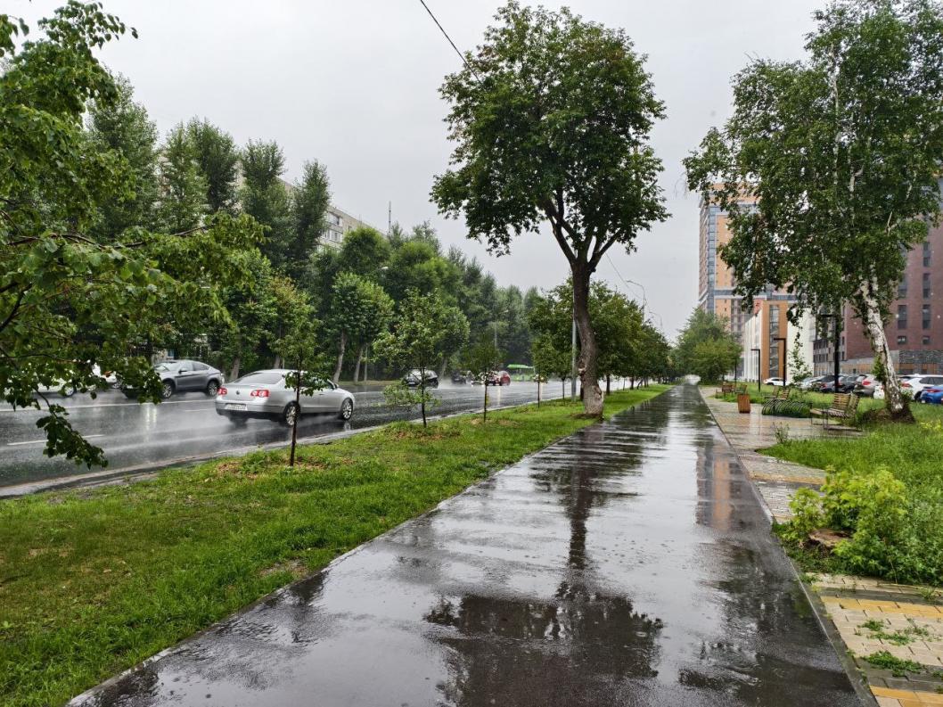 ИА "Тюменская линия"