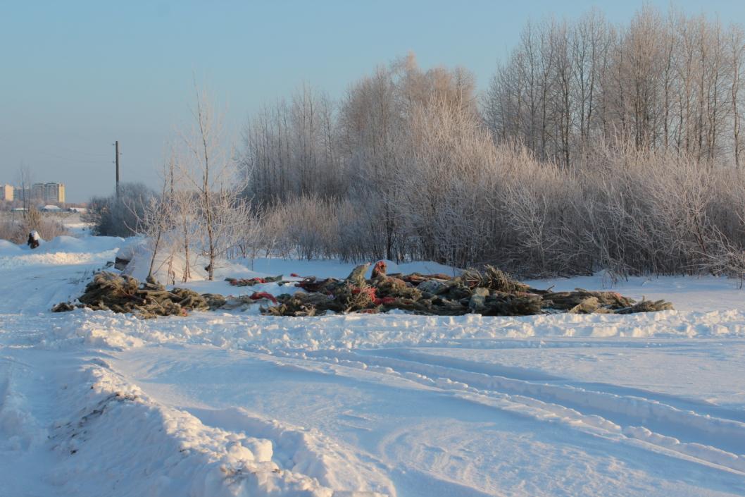 Сергей Пересторонин, ИА "Тюменская линия" (архив)