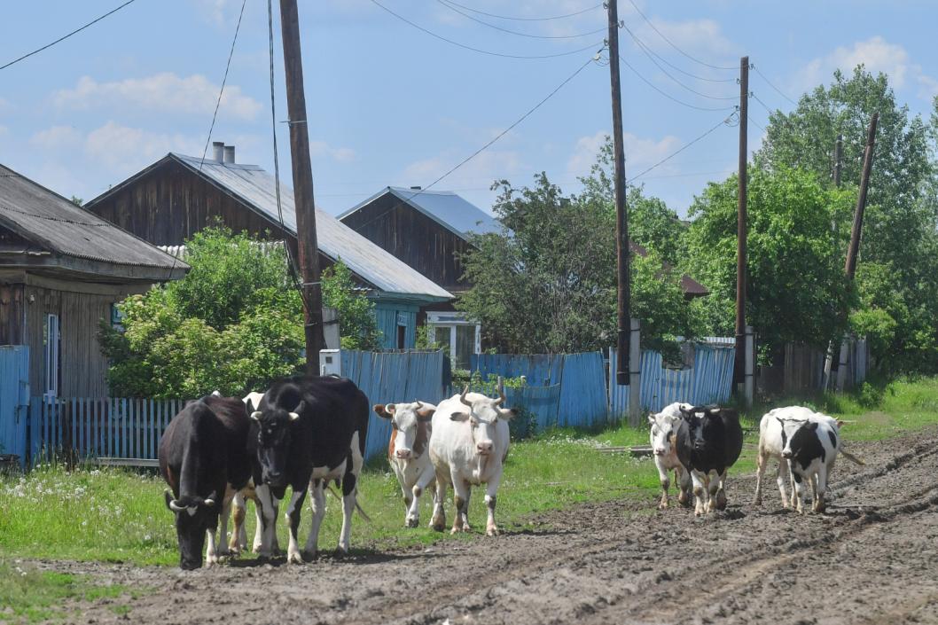 Сергей Елесин, ИА "Тюменская линия"