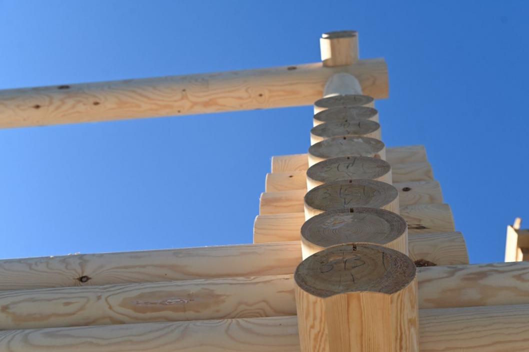 Сергей Елесин, ИА "Тюменская линия" (архив)