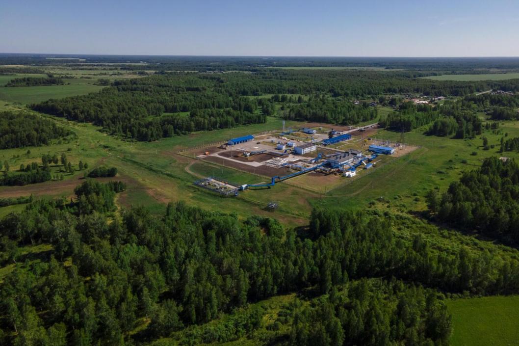 Никита Кудрявцев