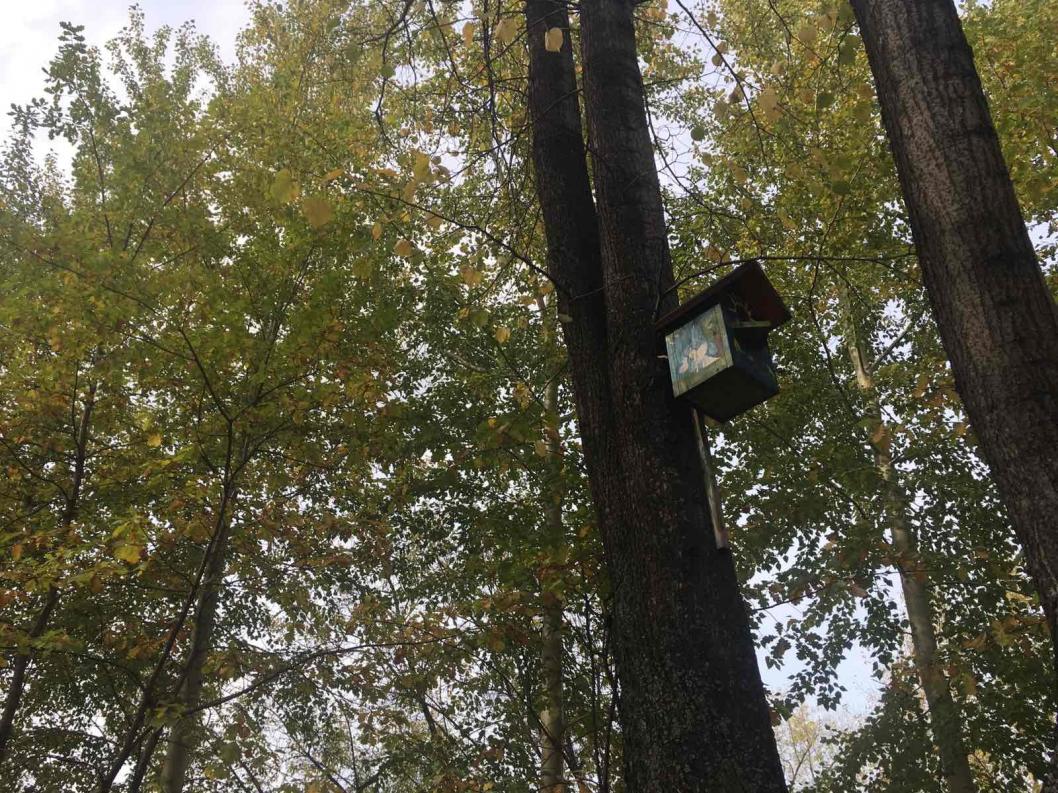 ИА "Тюменская линия"