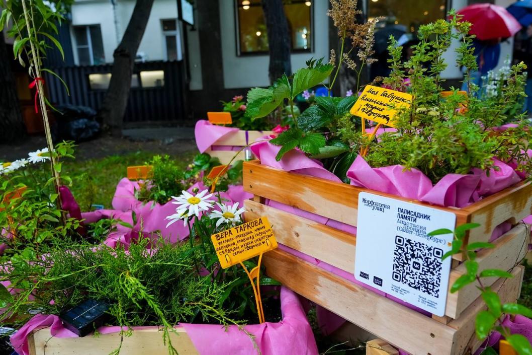 Сергей Мжельский, ИА "Тюменская линия"