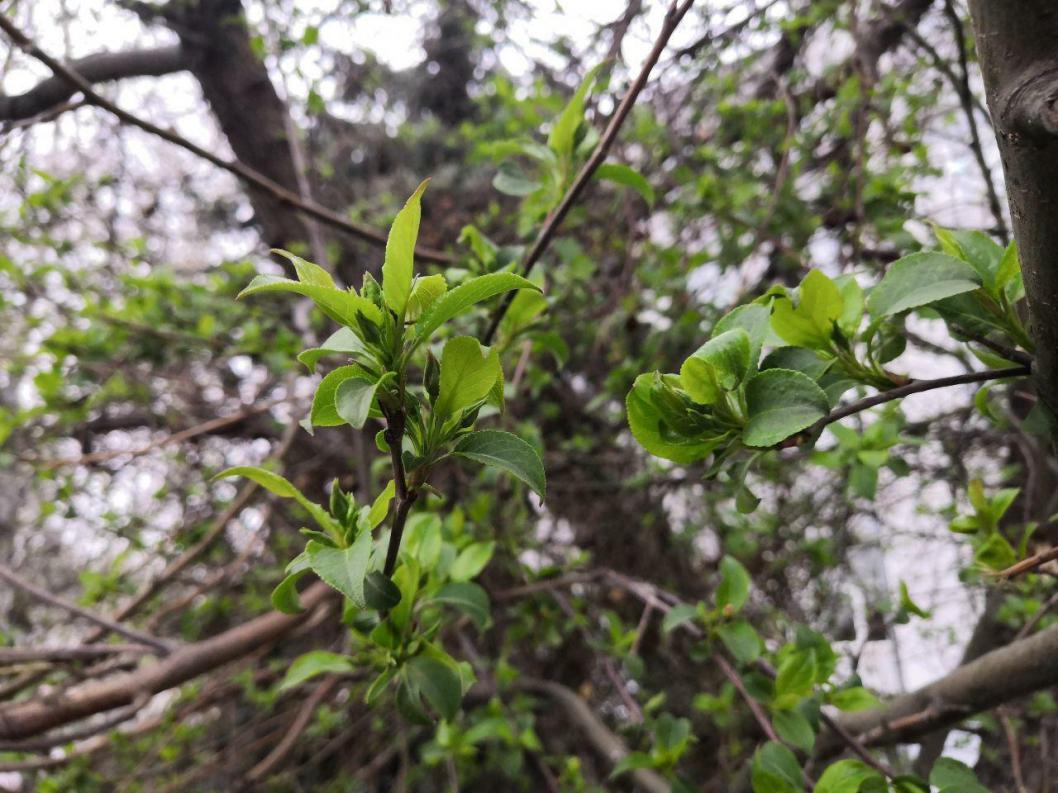 ИА "Тюменская линия"