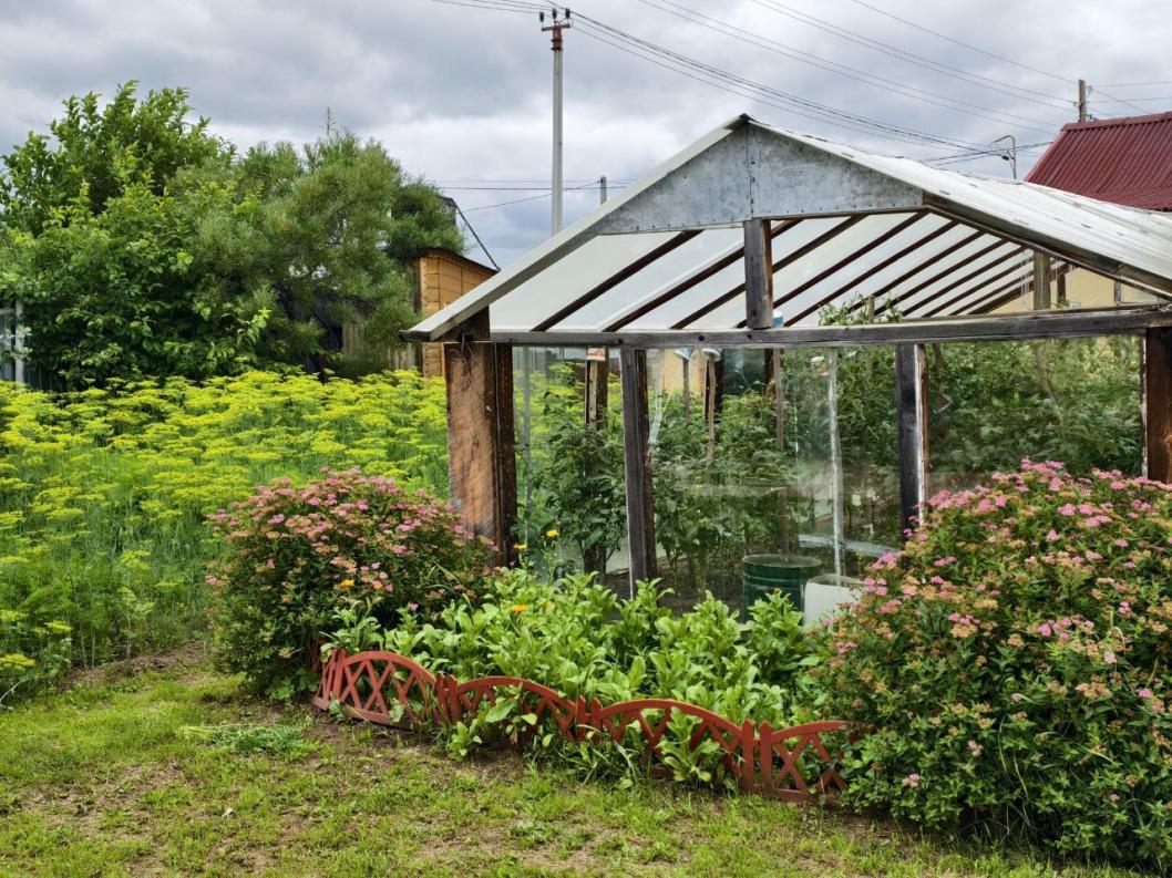 ИА "Тюменская линия"