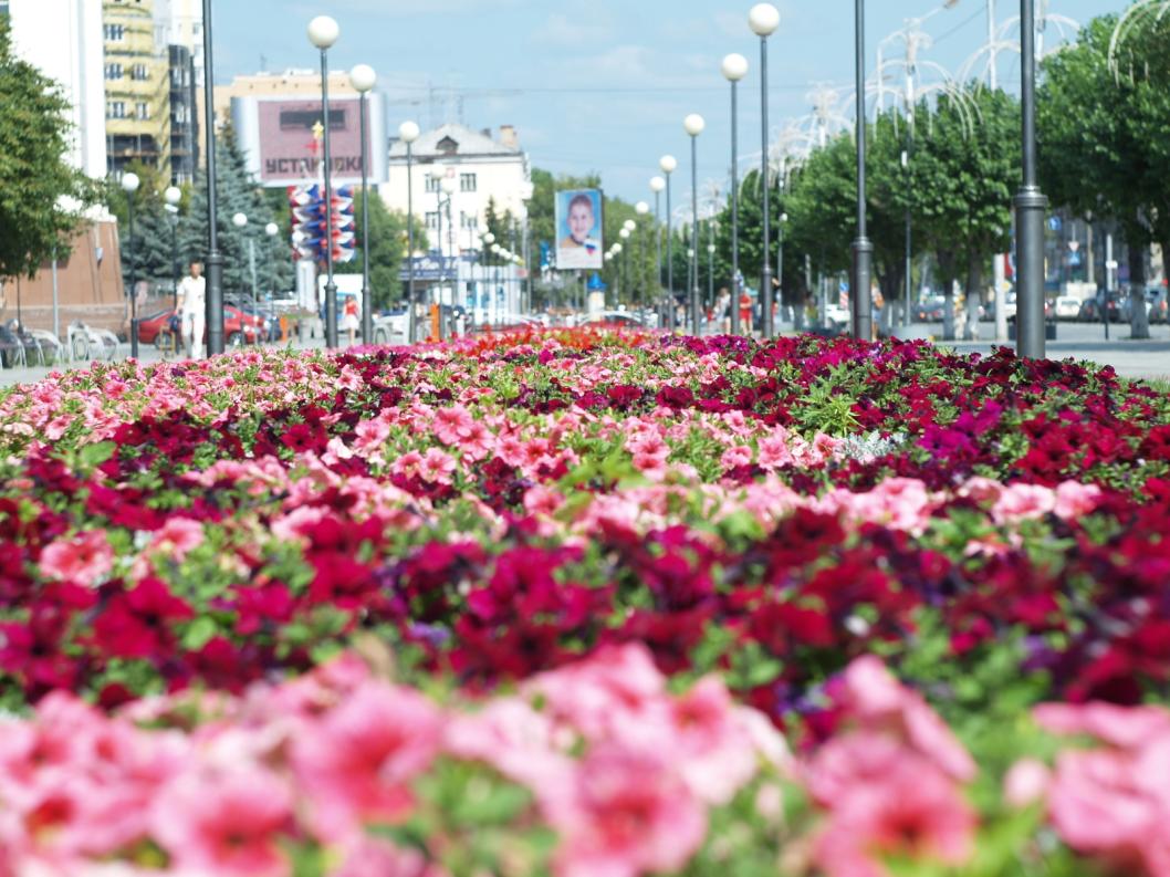 Виктор Сергеев, ИА "Тюменская линия"