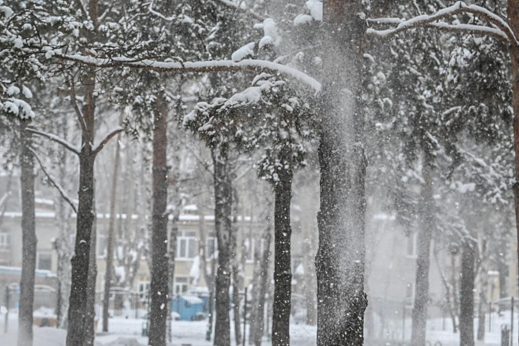 Сергей Елесин, ИА "Тюменская линия"