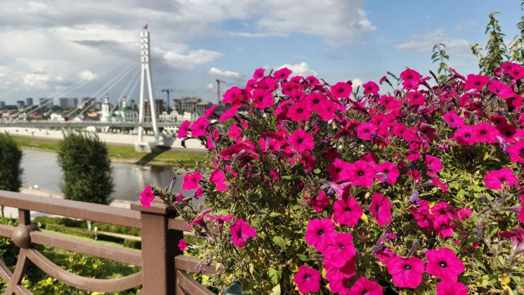 Инна Пахомова, ИА "Тюменская линия"