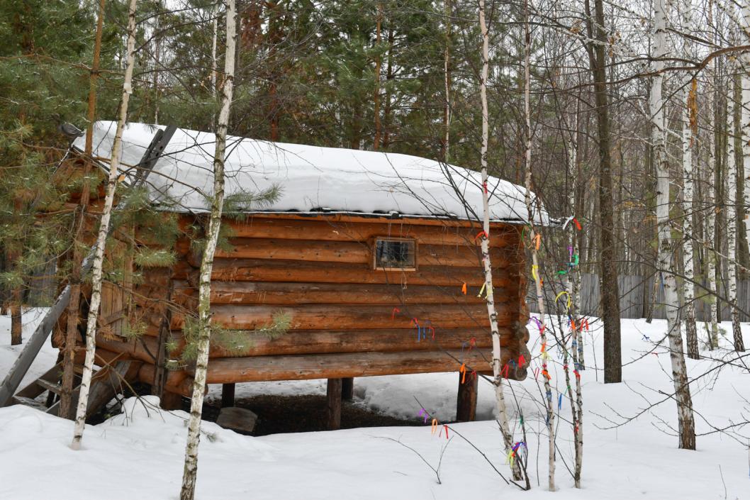 Сергей Елесин, ИА "Тюменская линия"