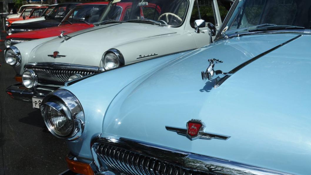 Инна Пахомова, ИА "Тюменская линия"