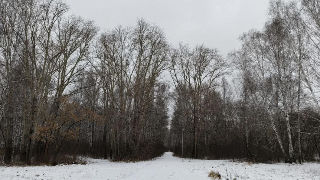 Инна Пахомова, ИА "Тюменская линия"