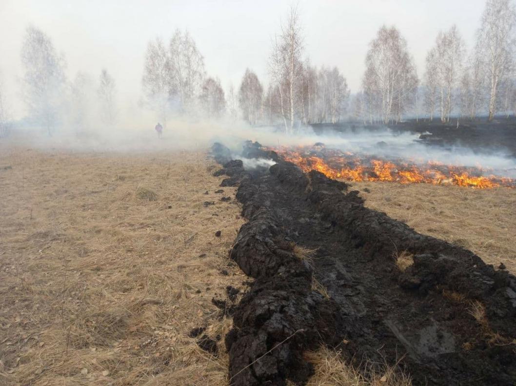 Пожары в тюменской области за последние сутки лесные карта