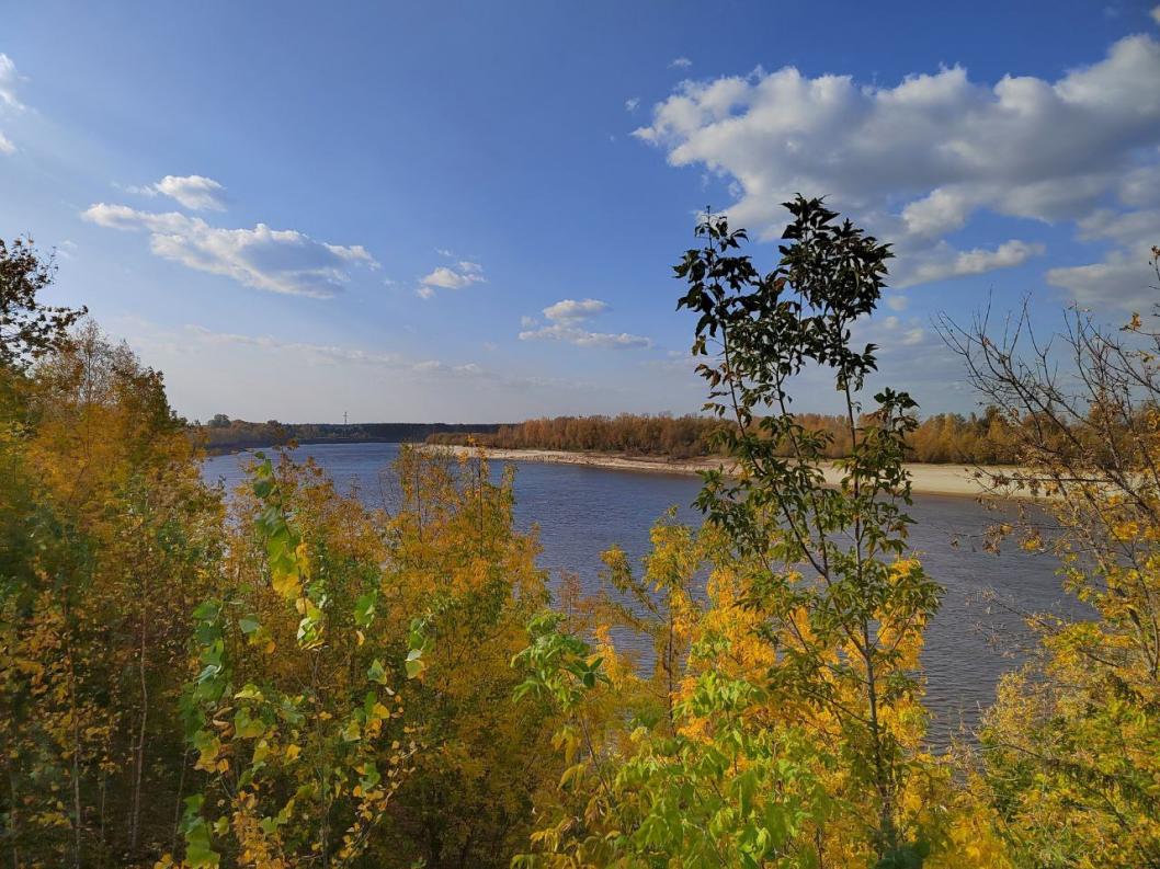 ИА "Тюменская линия"