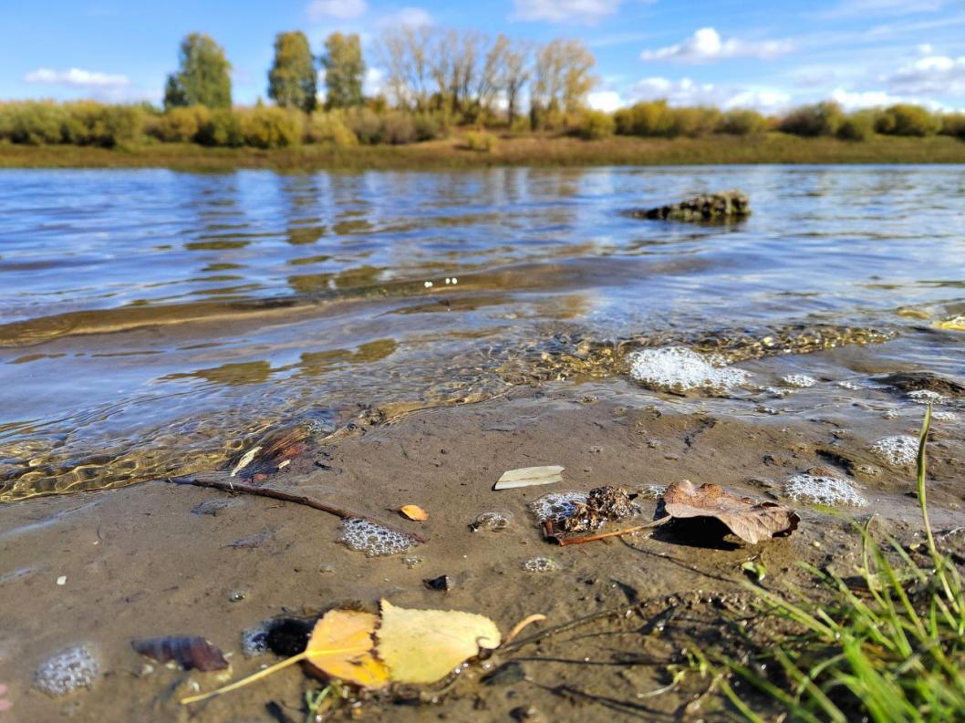 ИА "Тюменская линия"