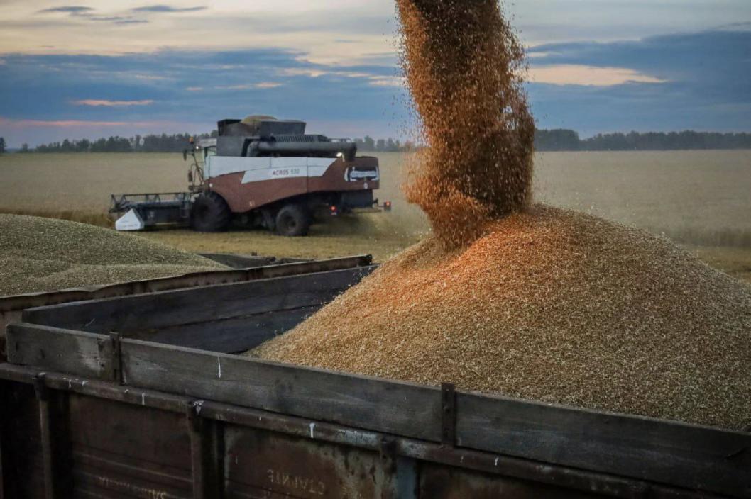 Telegram-канал Александра Моора