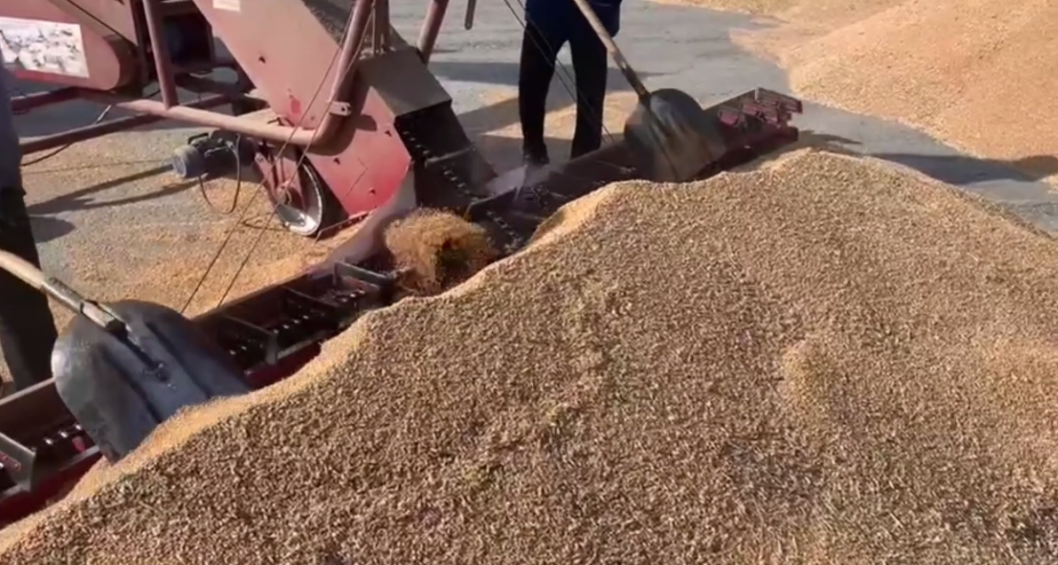 скриншот видео администрации Ишимского округа