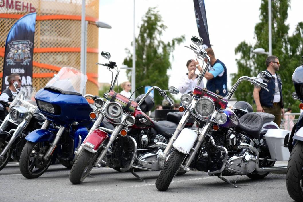 Сергей Мжельский, ИА "Тюменская линия"