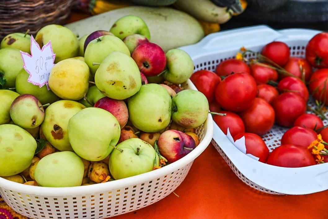 Сергей Елесин, ИА "Тюменская линия" (архив)