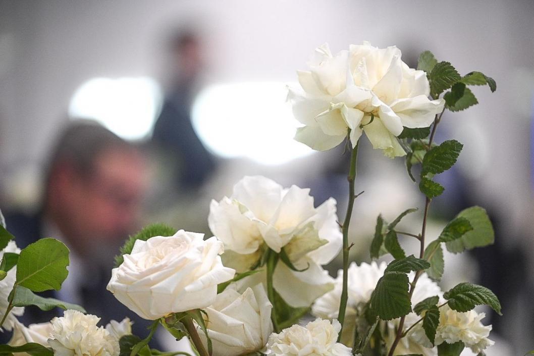 Сергей Елесин, ИА "Тюменская линия"