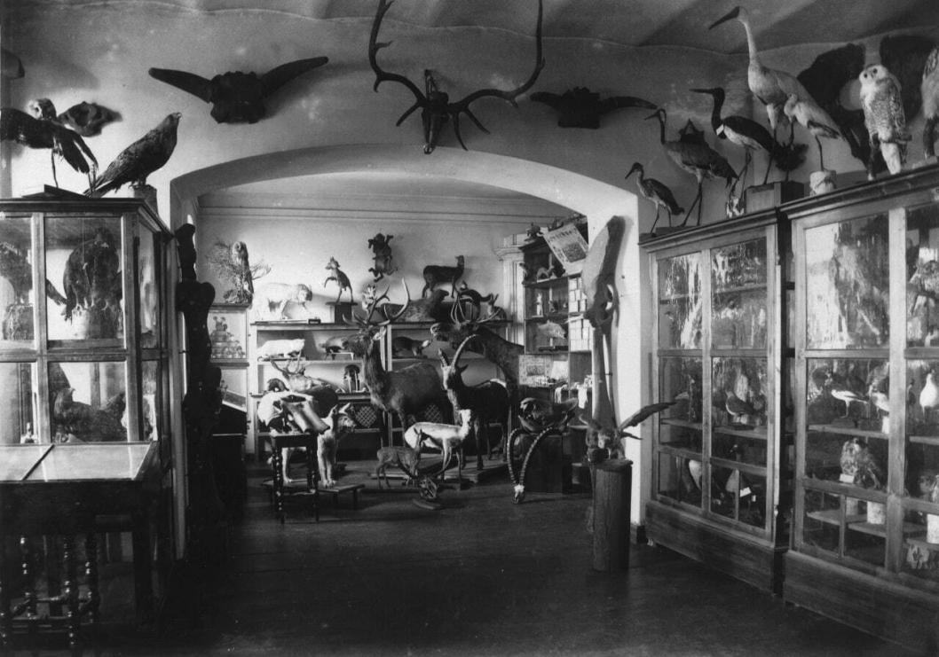 Архивное фото «Коллекция музея реального училища» их фондов ТМПО