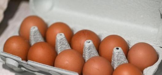 Сергей Елесин, ИА "Тюменская линия"