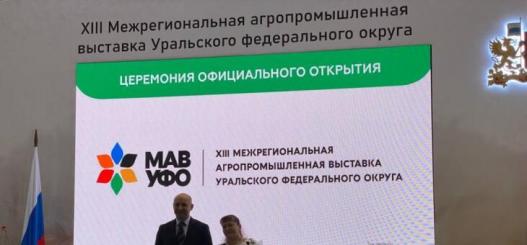 ИА "Тюменская линия"