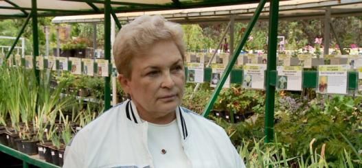 ИА "Тюменская линия"