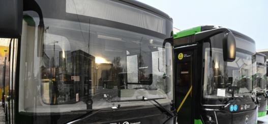 Сергей Елесин, ИА "Тюменская линия"