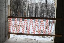 Сергей Елесин, ИА "Тюменская линия"