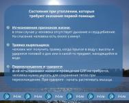 ИА "Тюменская линия"