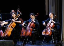 Дмитрий Сиялов, ТКТО 