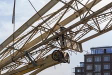 предоставлено компанией "Брусника"