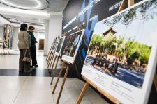 Сергей Елесин, ИА "Тюменская линия"