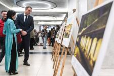 Сергей Елесин, ИА "Тюменская линия"